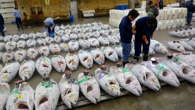 Vignette du programme télé Tokyo, il était une fois le marché aux poissons