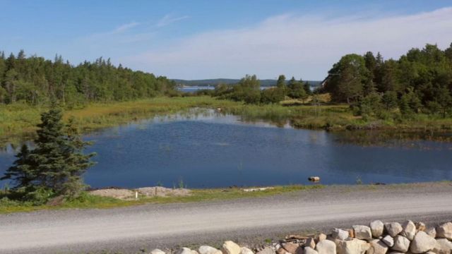 Vignette du programme télé Le mystère d'Oak Island - Saison 10