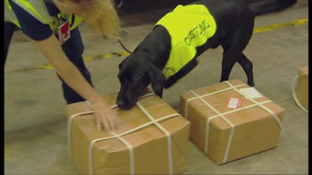 Vignette du programme télé Douanes sous haute surveillance - Saison 4