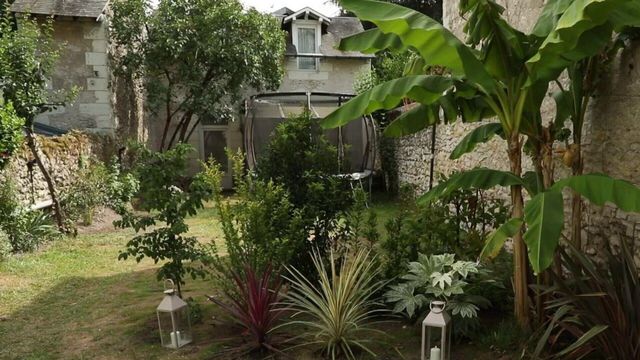 Vignette du programme télé Silence, ça pousse !