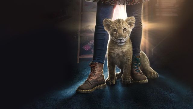 Vignette du programme télé King