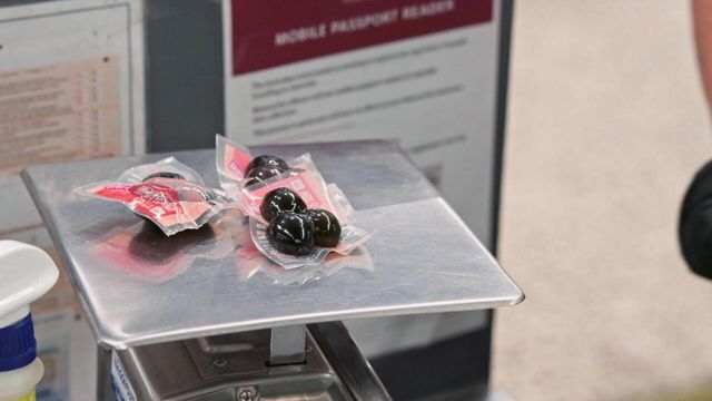 Vignette du programme télé Douanes sous haute surveillance - Saison 14