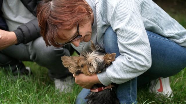 Vignette du programme télé Animaux à adopter : nouvelle famille pour une nouvelle vie