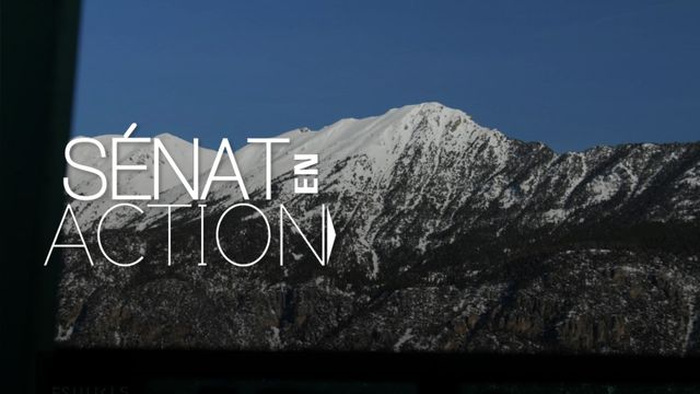 Vignette du programme télé Sénat en action