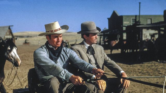 Vignette du programme télé Les grands espaces