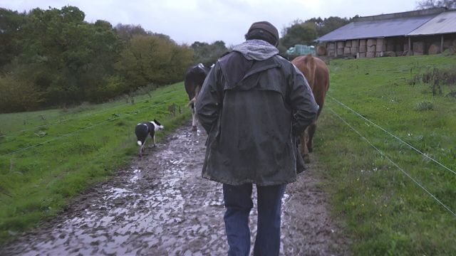 Vignette du programme télé Violence dans les champs