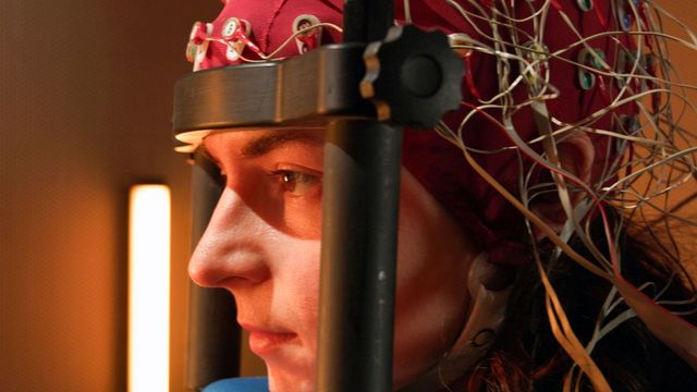 Vignette du programme télé Notre cerveau nous joue des tours - Saison 1