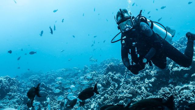 Vignette du programme télé Pêche XXL - Saison 5