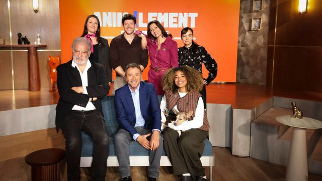 Vignette du programme télé Animalement vôtre