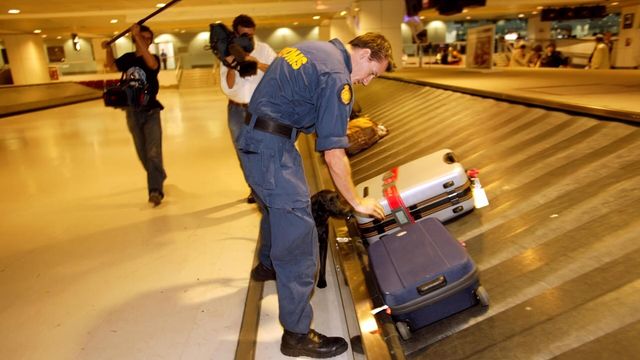 Vignette du programme télé Douanes sous haute surveillance - Saison 6