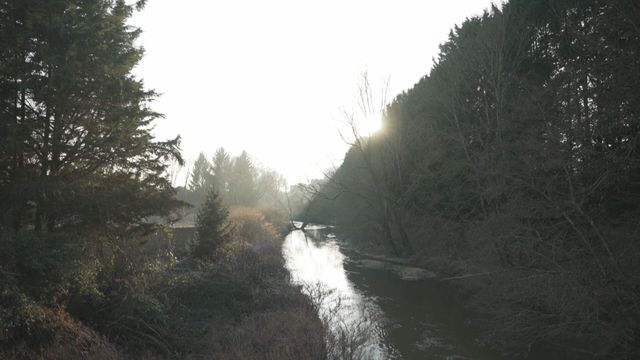 Vignette du programme télé Grands reportages