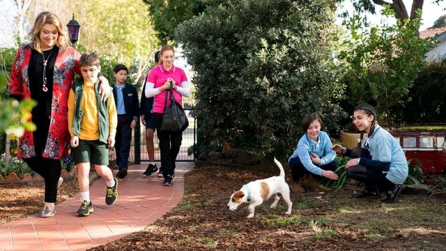 Vignette du programme télé Super détectives ! - Saison 1