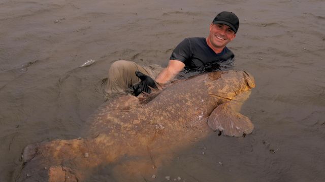 Vignette du programme télé Pêche XXL - Saison 1