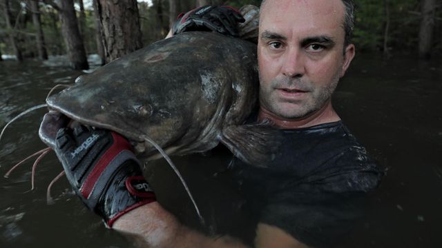 Vignette du programme télé Pêche XXL - Saison 3