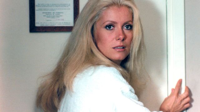 Vignette du programme télé Le sauvage