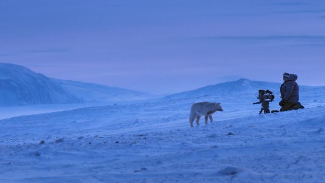 Vignette du programme télé Une planète parfaite