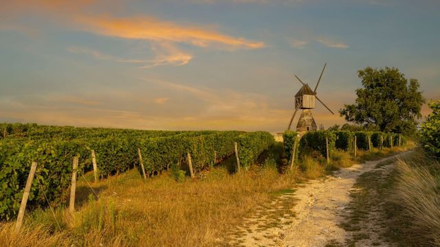 Vignette du programme télé Les visages du crime en région - Saison 1