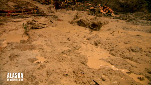 Vignette du programme télé Alaska : La ruée vers l'or - Saison 4