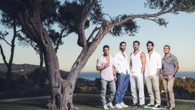 Vignette du programme télé Cougar Island