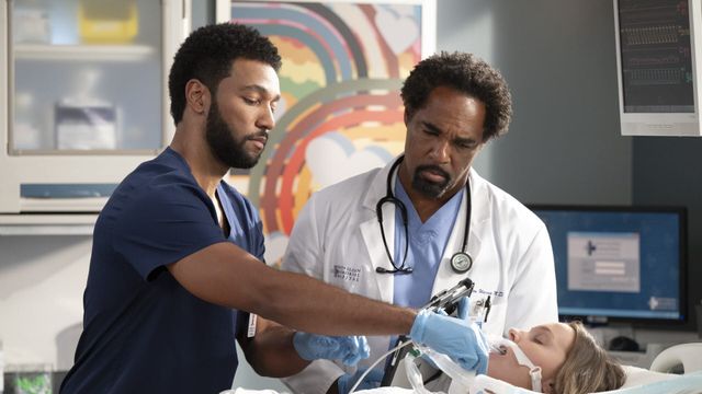 Vignette du programme télé Grey's Anatomy - Saison 22