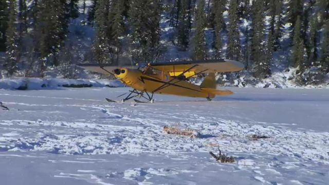 Vignette du programme télé Seuls face à l'Alaska - Saison 6