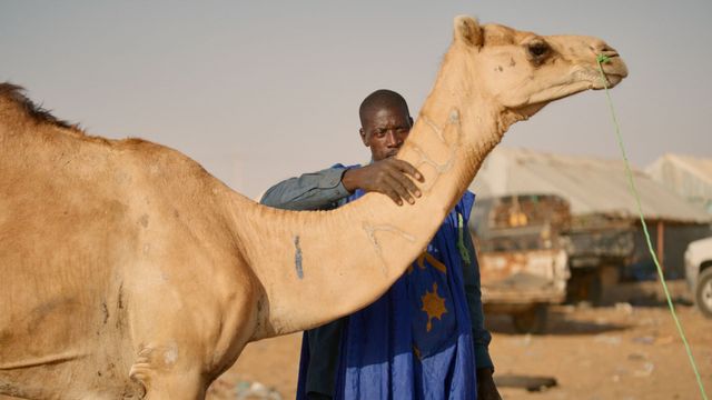 Vignette du programme télé Marchés du monde - Saison 1