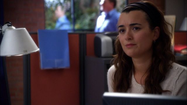 Vignette du programme télé NCIS - Saison 7