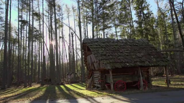 Vignette du programme télé Seuls face à l'Alaska - Saison 6