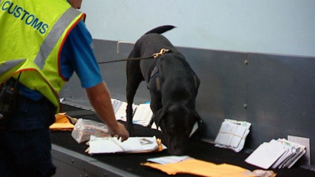 Vignette du programme télé Douanes sous haute surveillance - Saison 6