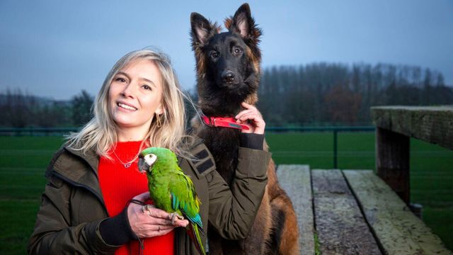 Vignette du programme télé Véto & Co - Saison 7