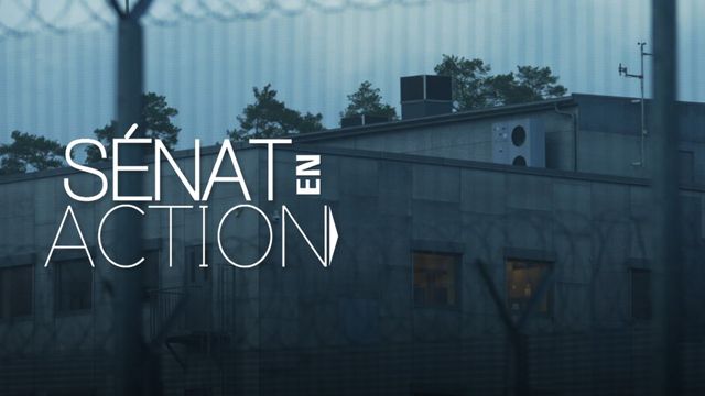 Vignette du programme télé Sénat en action