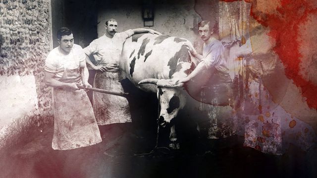 Vignette du programme télé Le ventre de Paris