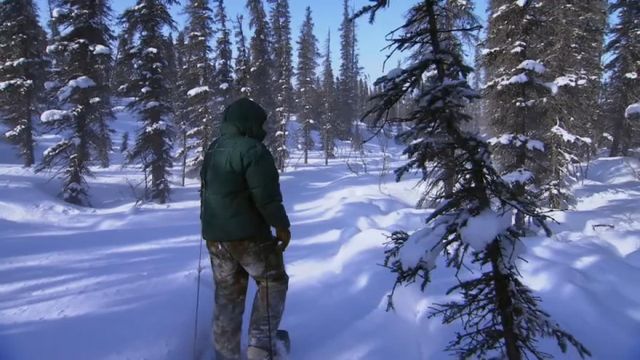 Vignette du programme télé Seuls face à l'Alaska - Saison 6