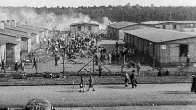 Vignette du programme télé Ils ont libéré Bergen-Belsen