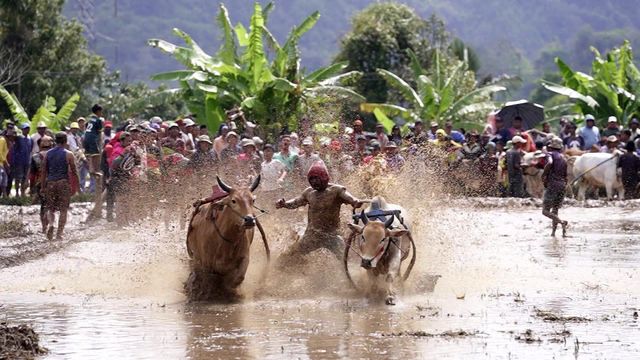 Vignette du programme télé Les routes de l'impossible - Saison 17