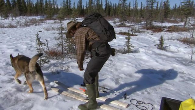 Vignette du programme télé Seuls face à l'Alaska - Saison 6