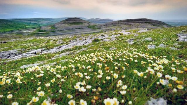 Vignette du programme télé Natura Europa - Saison 1