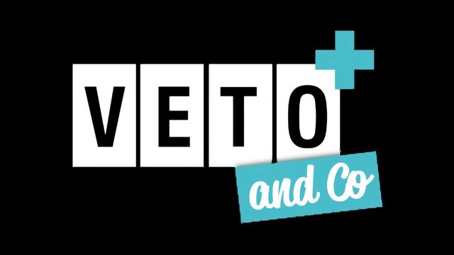 Vignette du programme télé Véto & Co - Saison 3