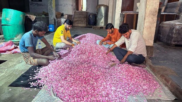 Vignette du programme télé L'Inde, l'autre pays du parfum