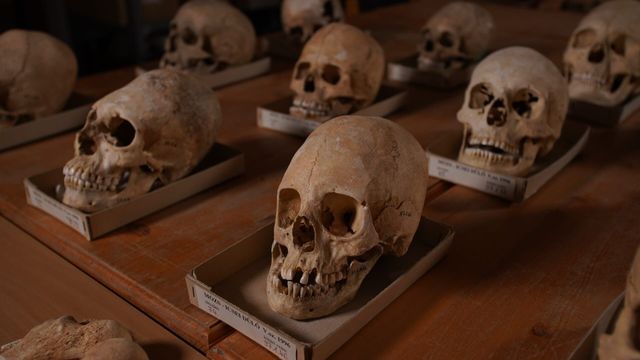 Vignette du programme télé Les grandes énigmes de l'Histoire *2013 - Saison 7