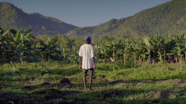 Vignette du programme télé Haïti, la rançon de l'indépendance