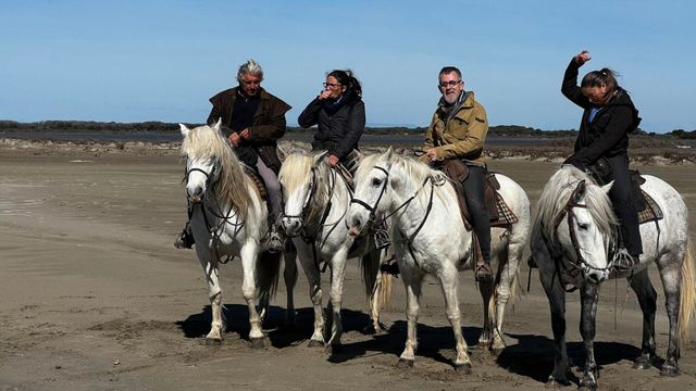 Vignette du programme télé Le monde de Jamy