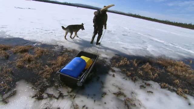 Vignette du programme télé Seuls face à l'Alaska - Saison 6