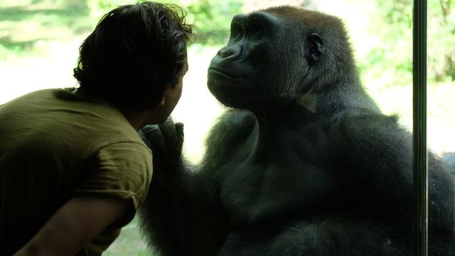 Vignette du programme télé Le zoo du Bronx - Saison 1