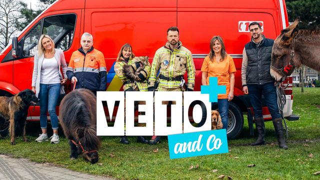 Vignette du programme télé Véto & Co - Saison 8