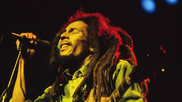 Vignette du programme télé Bob Marley, dans le coeur des Français
