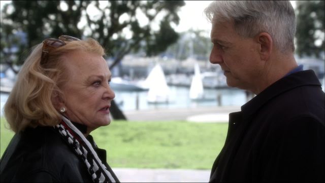 Vignette du programme télé NCIS - Saison 7