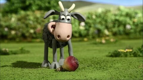 Vignette du programme télé Shaun le mouton
