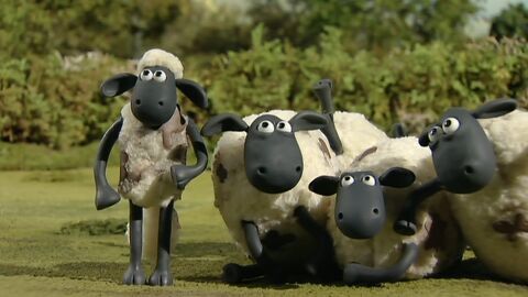 Vignette du programme télé Shaun le mouton