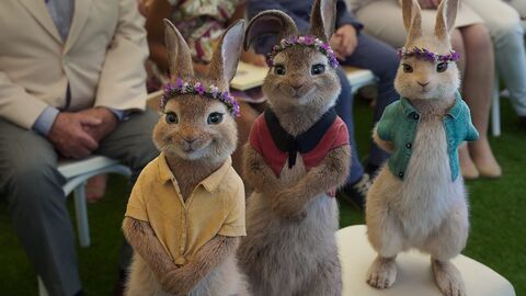 Vignette du programme télé Pierre Lapin 2 : panique en ville
